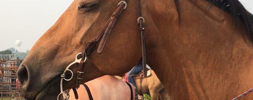 Rothsay Rodeo Grounds