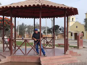 Sausal La Libertad