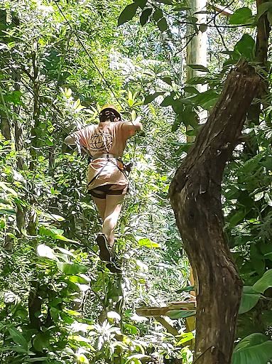 Fly Park Iguazú