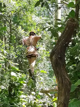 Fly Park Iguazú
