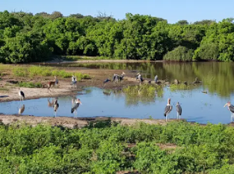 Chobe National Park Stretch Point