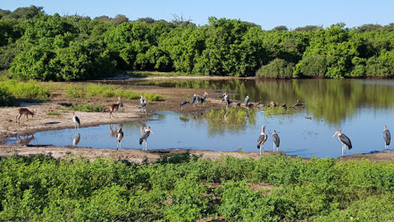 Chobe