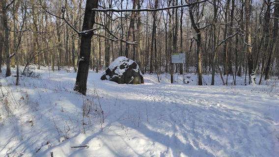 Mogilno County