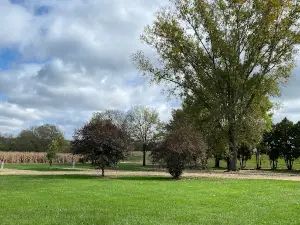 Gilbertson Park