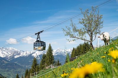 Kristbergbahn