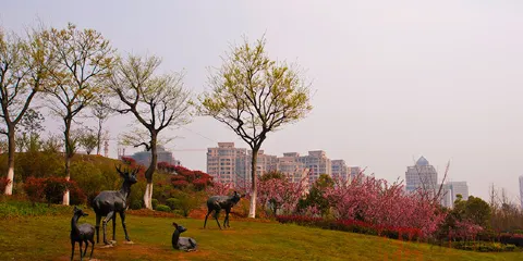 鹿鳴公園