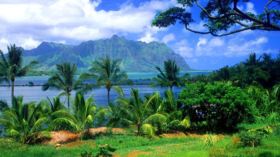 Vansda National Park