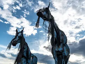 Bleu Horses