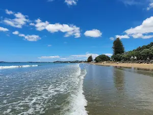 Hauraki Gulf / Tīkapa Moana