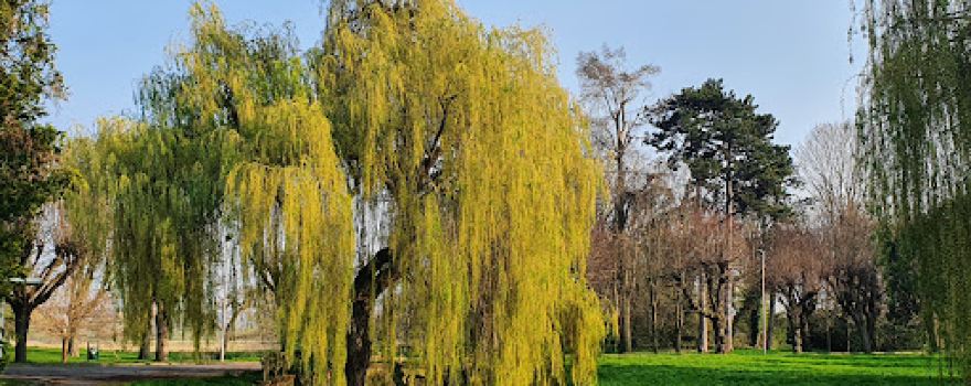Jardin d'Herblay