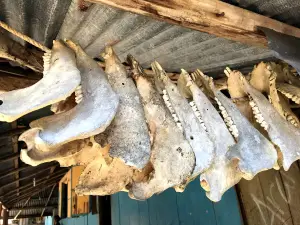 Kampung Adat Pasunga