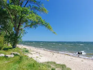 Naturcamping Rügen-Pritzwald