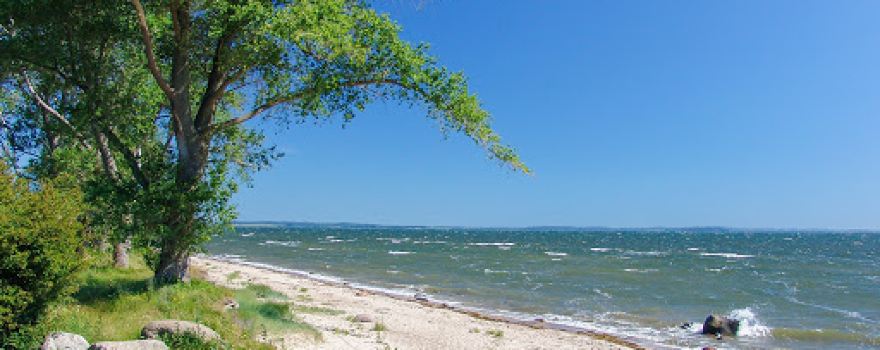 Naturcamping Rügen-Pritzwald