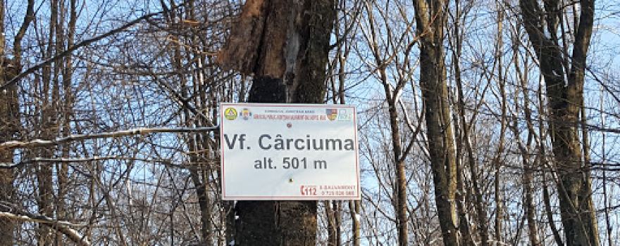 Vârful Cârciuma