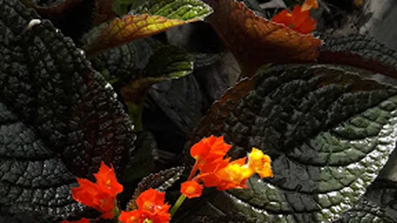 Abiari Country House