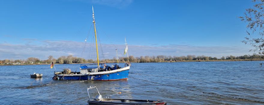 Deichvorland bei Grieth