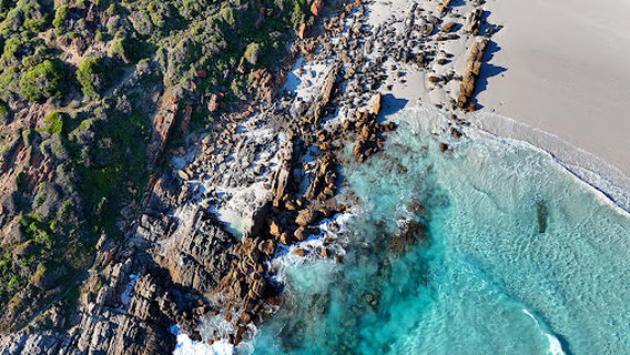 Блоссомс Бич