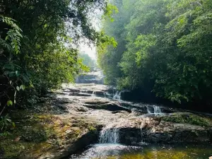 Rafting Kithulgala Paddle Sri Lanka Adventure