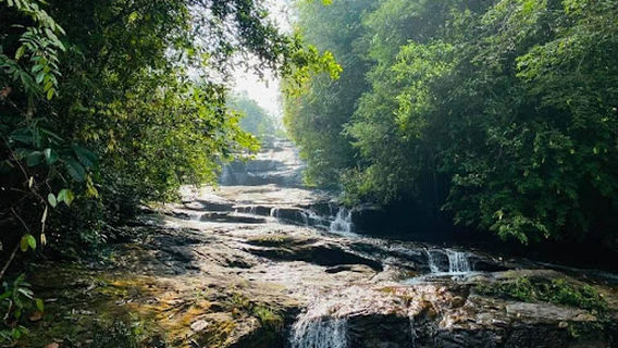 Rafting Kithulgala Paddle Sri Lanka Adventure