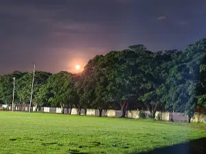 Centro Social Canario Venezolano