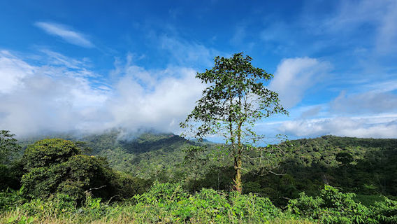 Banjaran Crocker 16 Miles spot, Kimanis, Sabah.