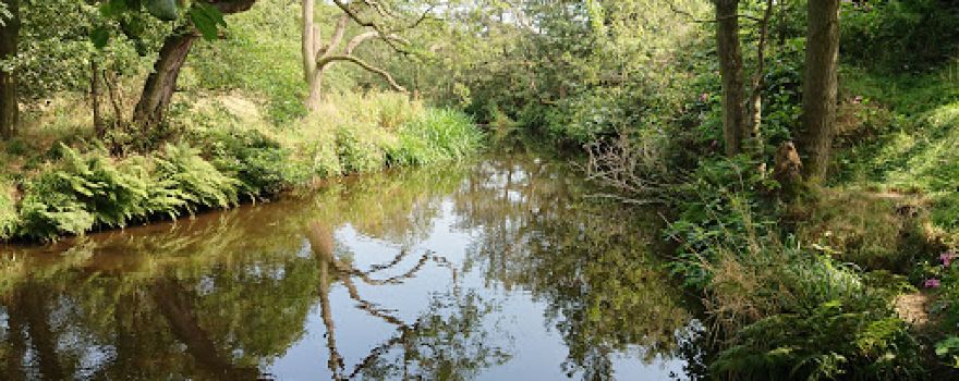 Riverside Picnic Area, Bower Dell
