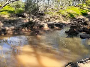 Depot Hill Reserve