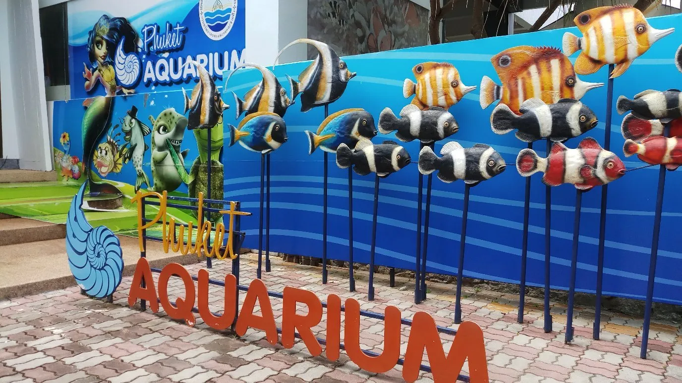 5_Phuket Aquarium