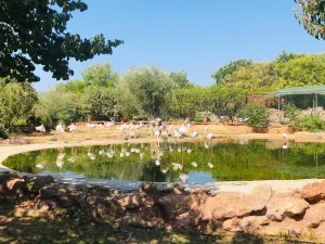 Giardino zoologico Attica
