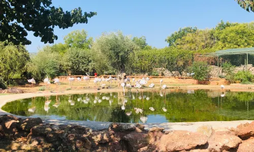 Attica Zoological Park
