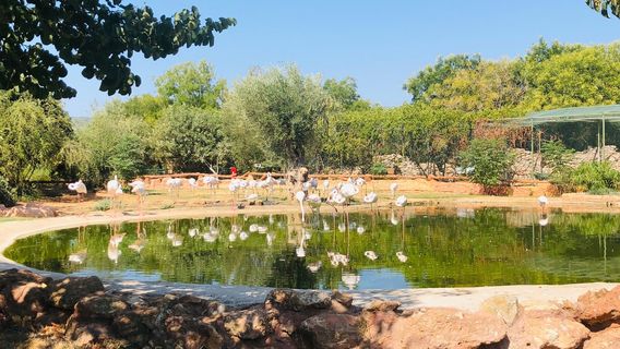 Attica Zoological Park