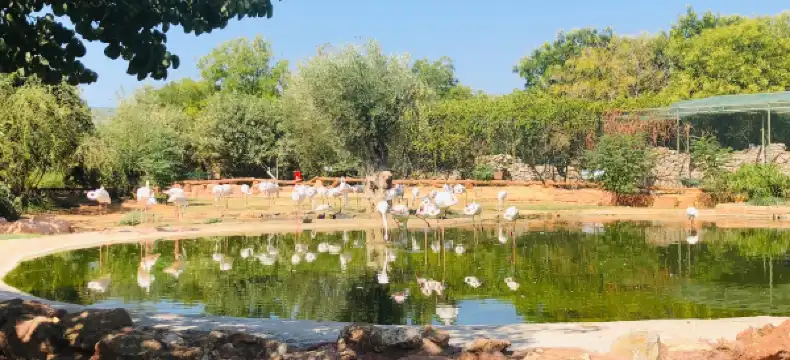 Hotels near Designer Outlet Athens