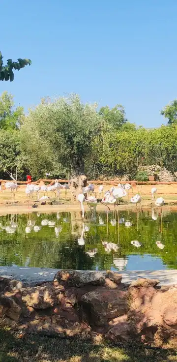 Hoteles en Spata-Artemida