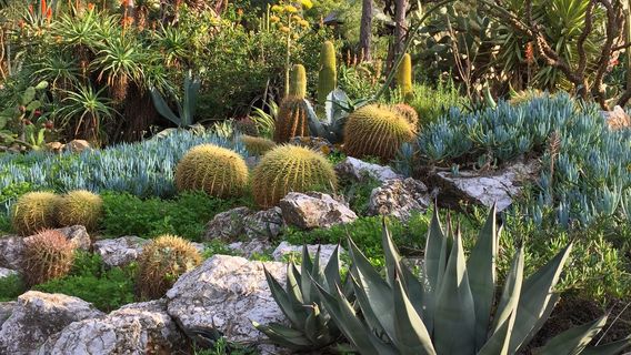 Gibraltar Botanic Gardens