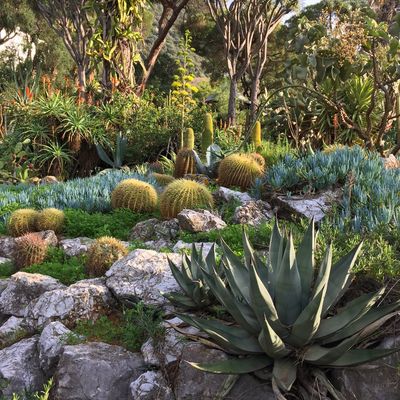 Jardins botaniques de Gibraltar