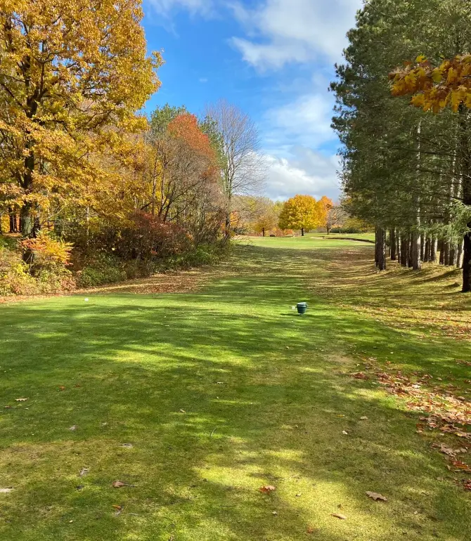 Grant Township
