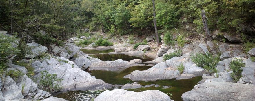 Talladega National Forest