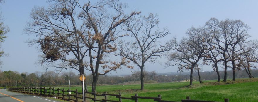 Country Park (Kumamoto Prefecture Agriculture Park)