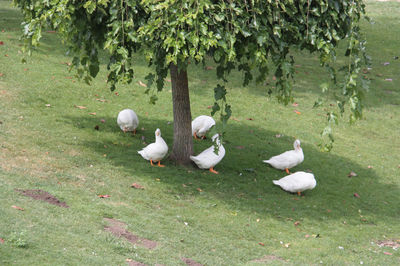 Parque Dos Condes