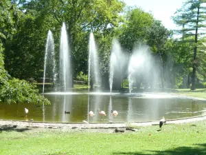 Grant's Farm