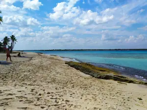 Coco Beach