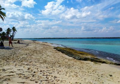 Coco Beach