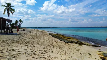 Coco Beach