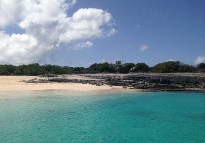 Scrub Island