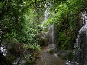 Gorman Falls