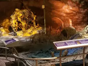 Gray Fossil Site