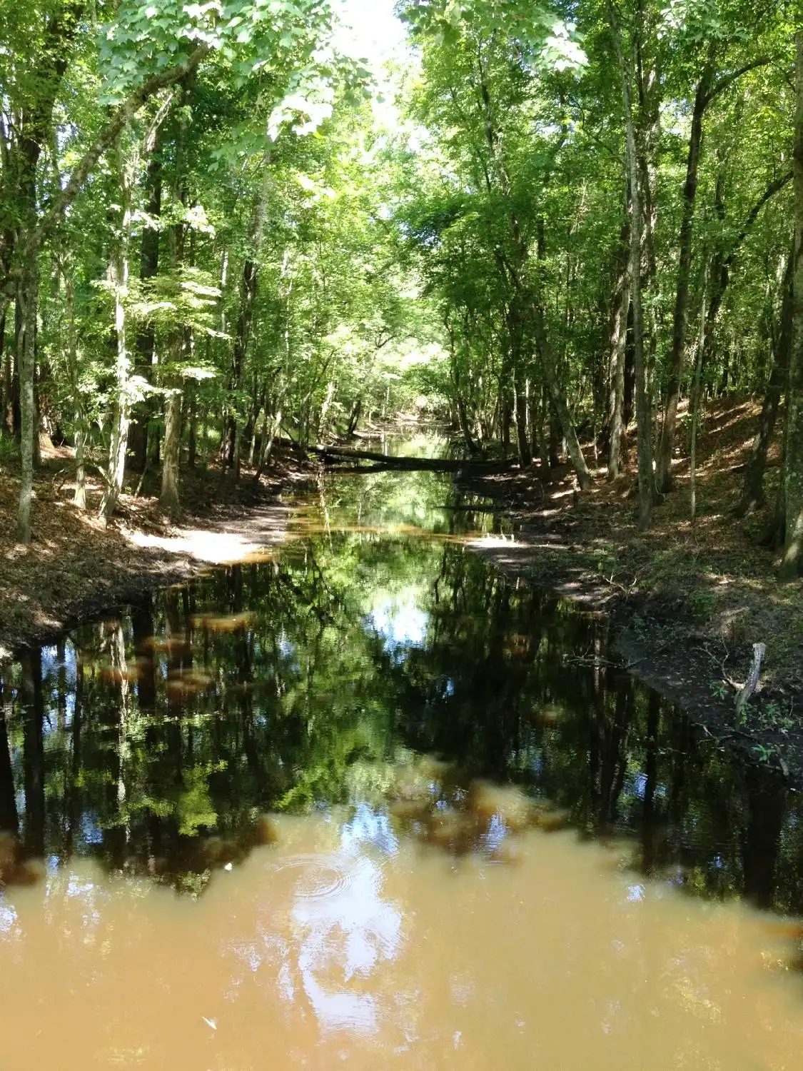 Hotels near Jacksonville-Baldwin Rail Trail