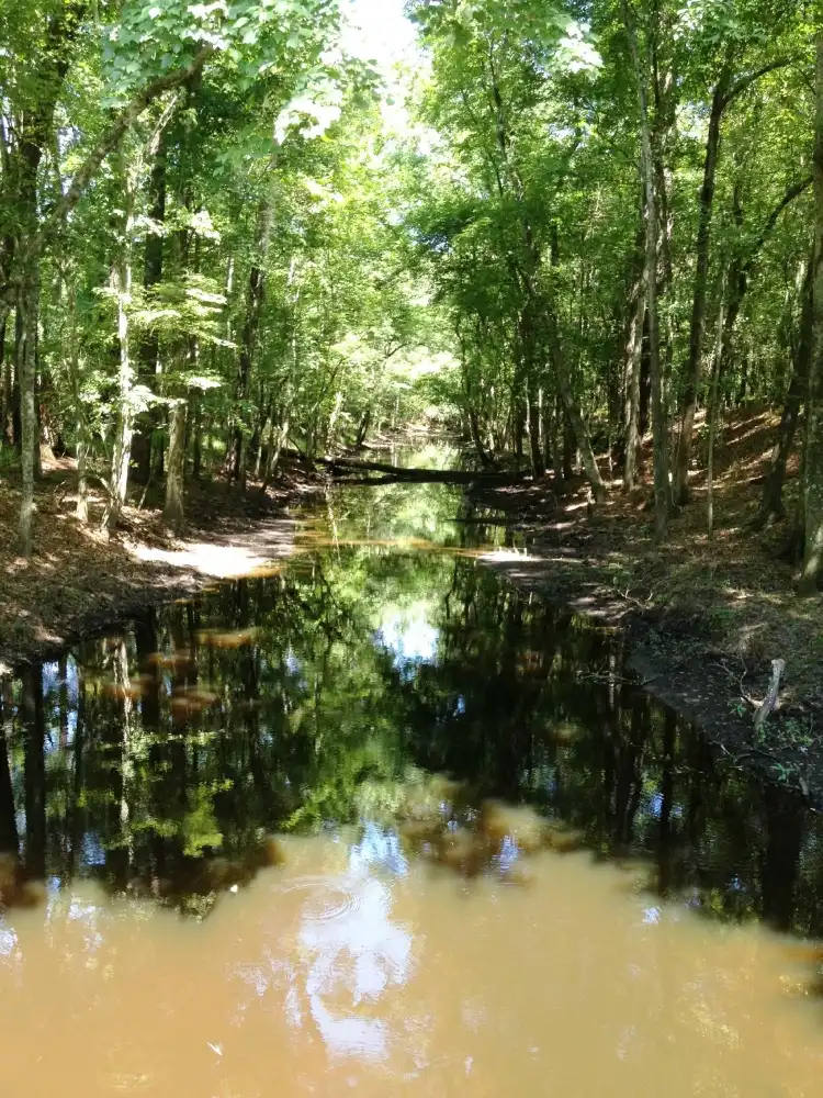 Hotels near Jacksonville-Baldwin Rail Trail