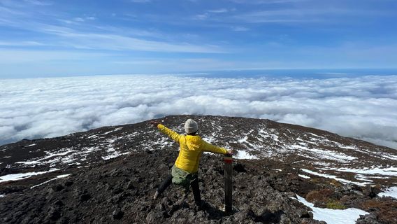 Mt Pico