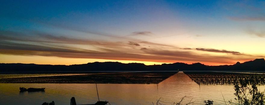 Whangaroa Harbour